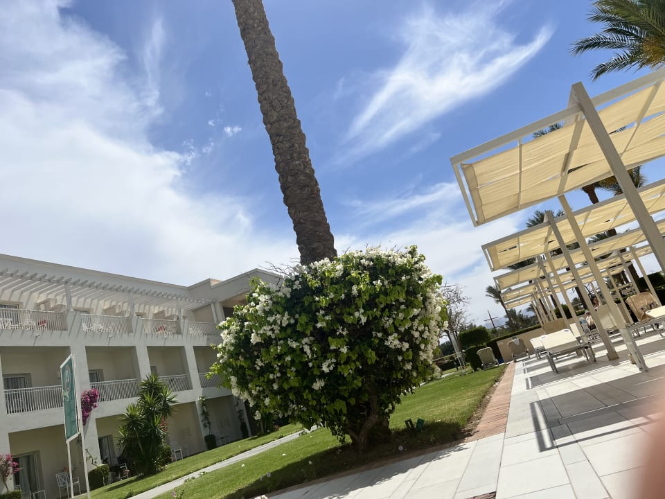 Gartenanlage Jaz Aquaviva