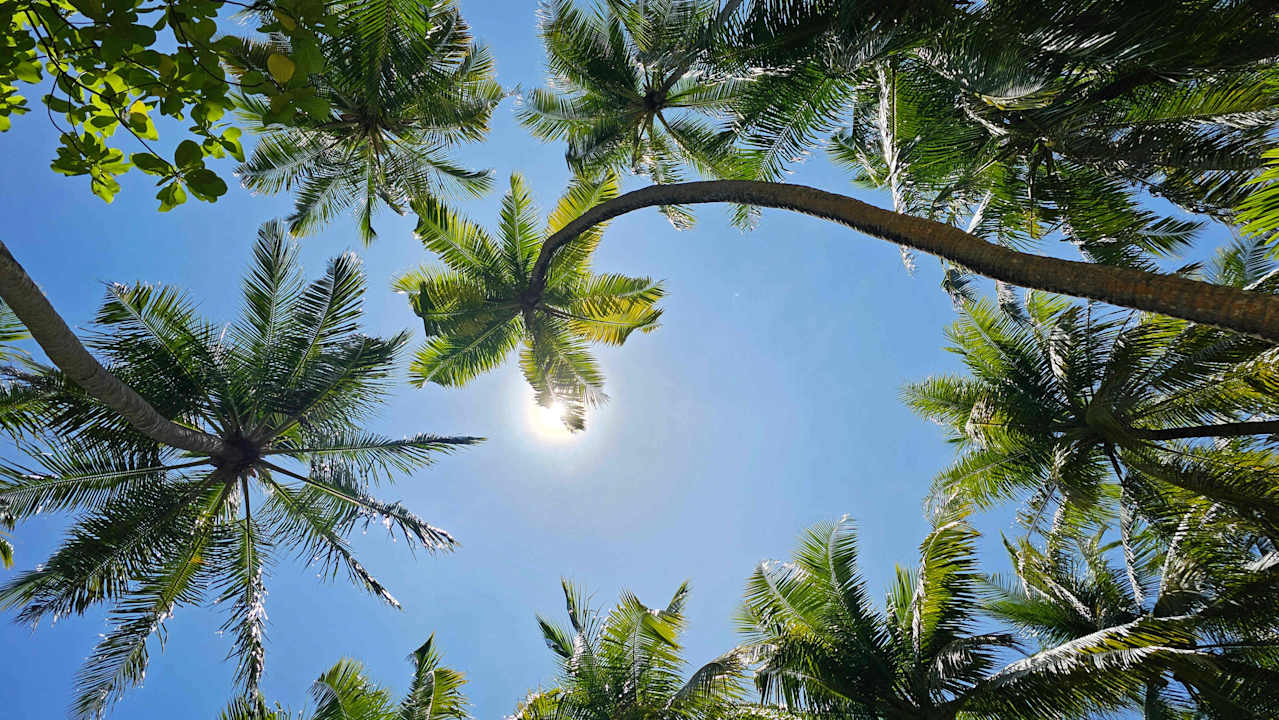 Gartenanlage Vilamendhoo Island Resort & Spa