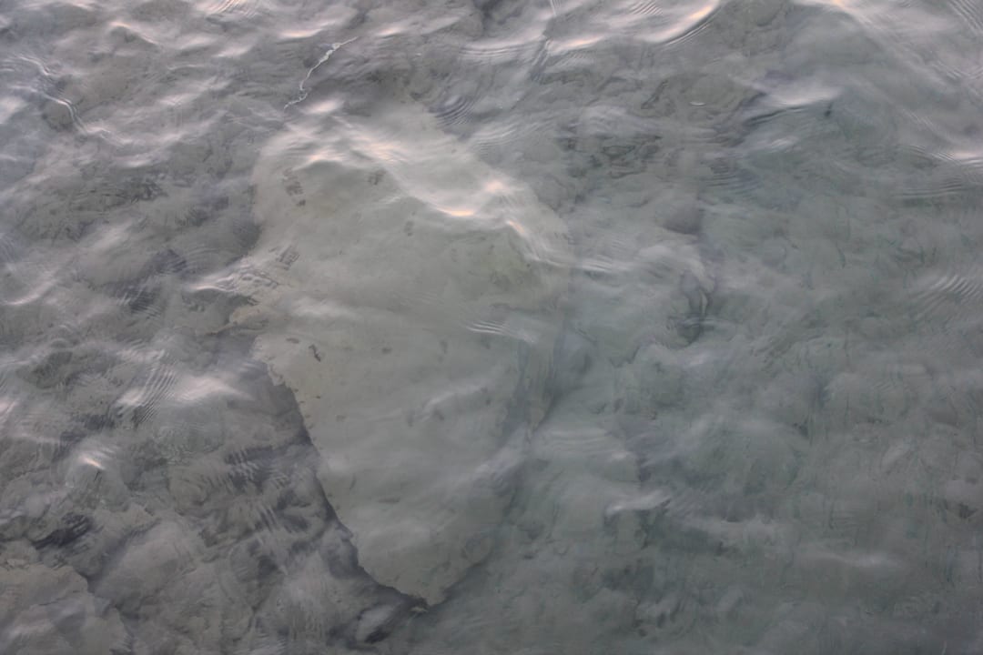 Einer der drei Rochen Hotel Turan Prince