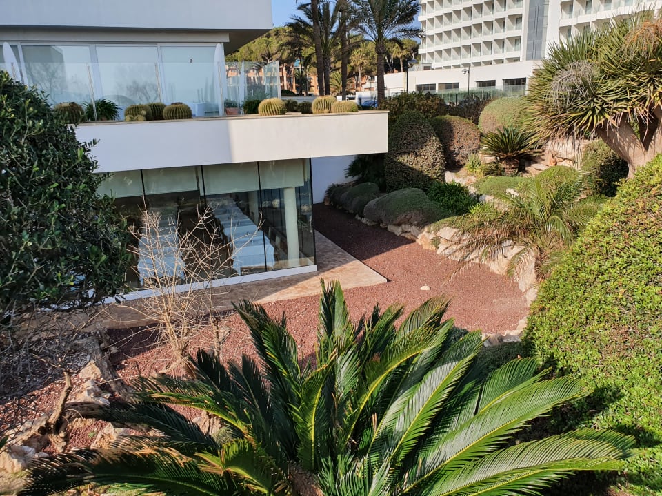 Außenansicht Hipotels Hipocampo Playa