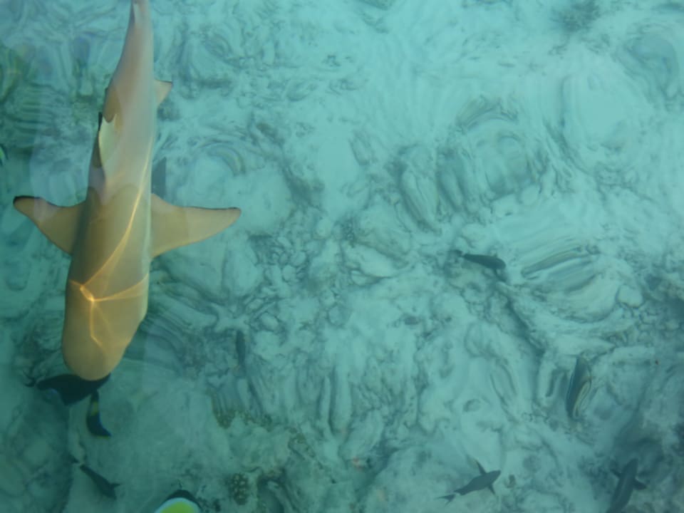 Sport & Freizeit Kuramathi Maldives