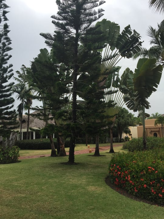 Gartenanlage Marien Puerto Plata