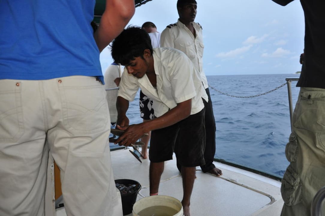 Summer Island Village Summer Island Maldives