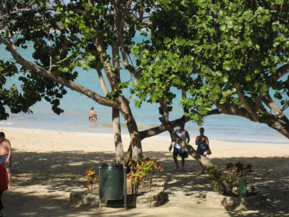 Blick vom Balkon auf das Meer und die Brandung Grand Paradise Playa Dorada