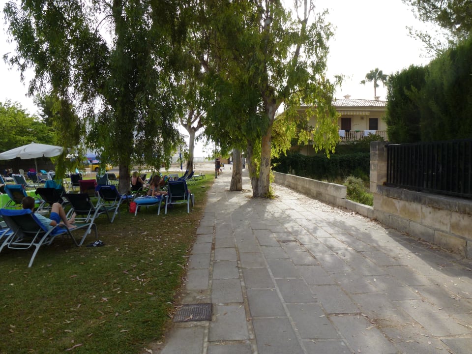 Weg zum Strand allsun Hotel Eden Alcudia