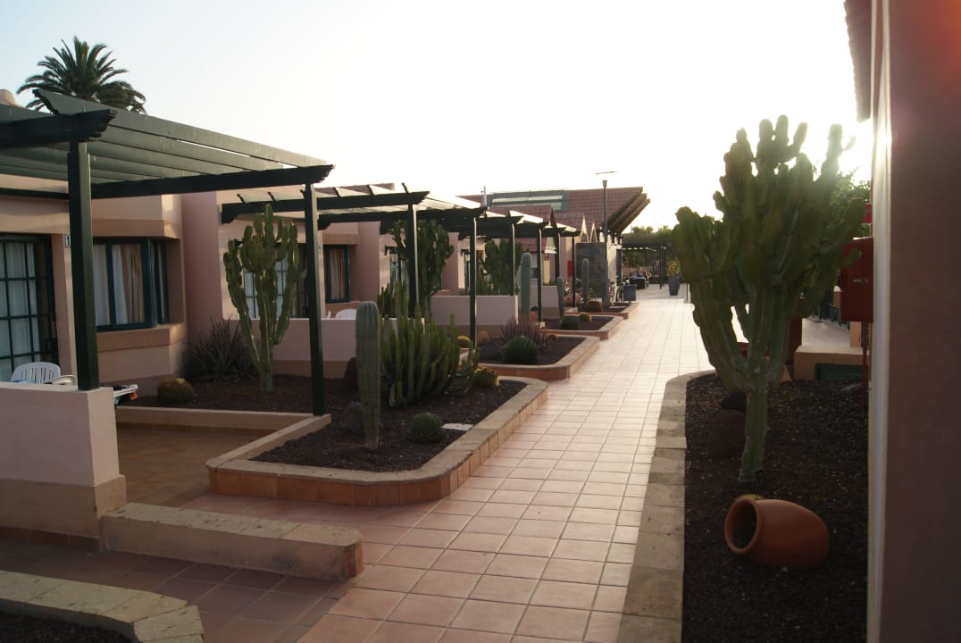 Jeder Weg anders aber immer wieder schön gestaltet allsun Hotel Esplendido
