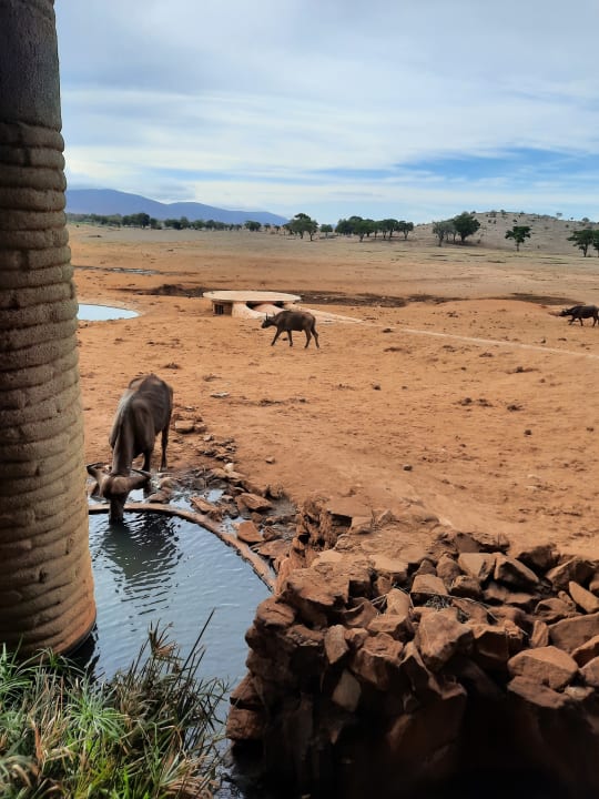 Ausblick Taita Hills Safari Resort & Spa