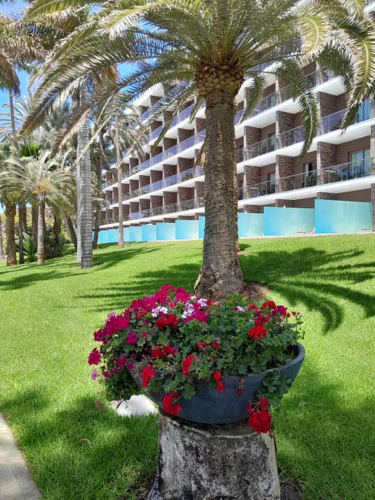 Außenansicht Hotel Riu Palace Oasis