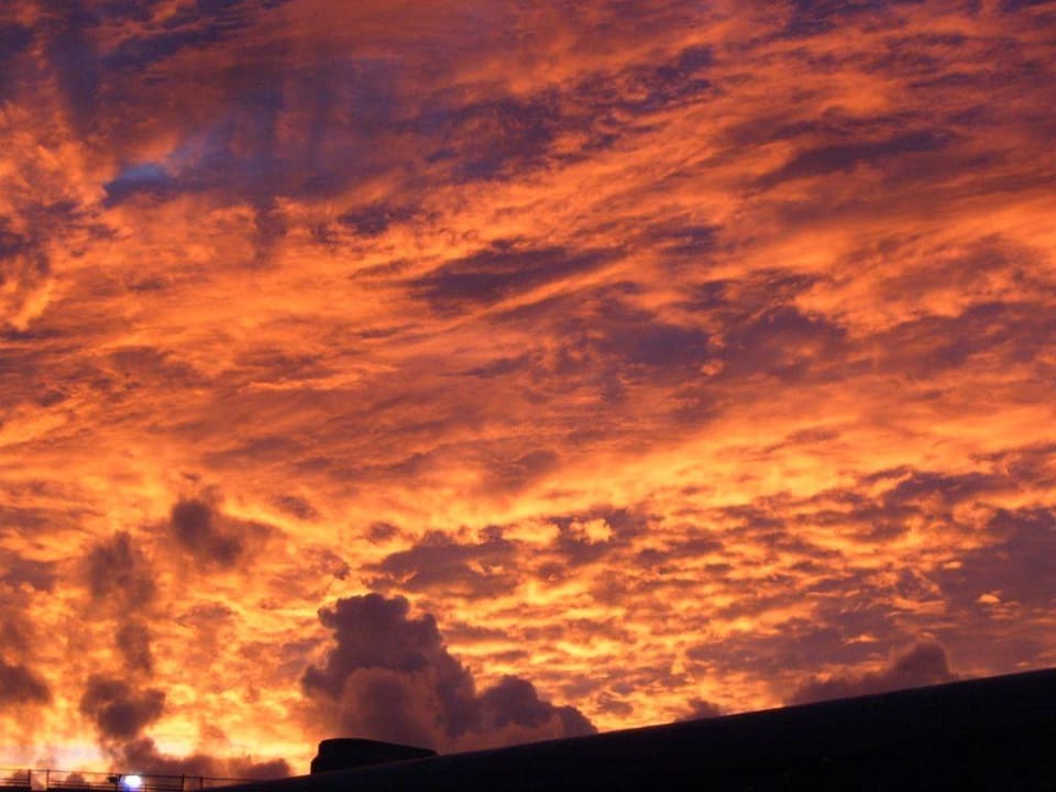 Blick aus dem Hotelfenster (Morgenstimmung) Miami International Airport Hotel