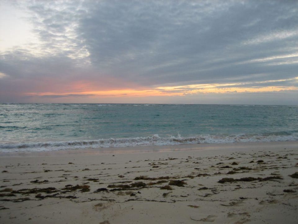 Der Tag beginnt Hotel Riu Palace Bavaro