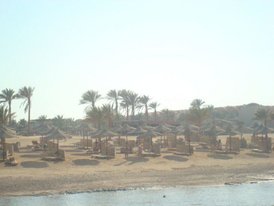 Widok z pomostu Three Corners Sea Beach Resort