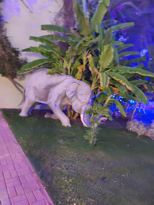 Gartenanlage VONRESORT Golden Beach