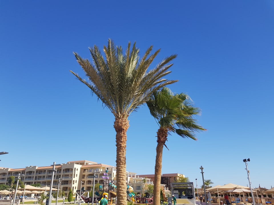 Außenansicht Pickalbatros White Beach Resort - Hurghada