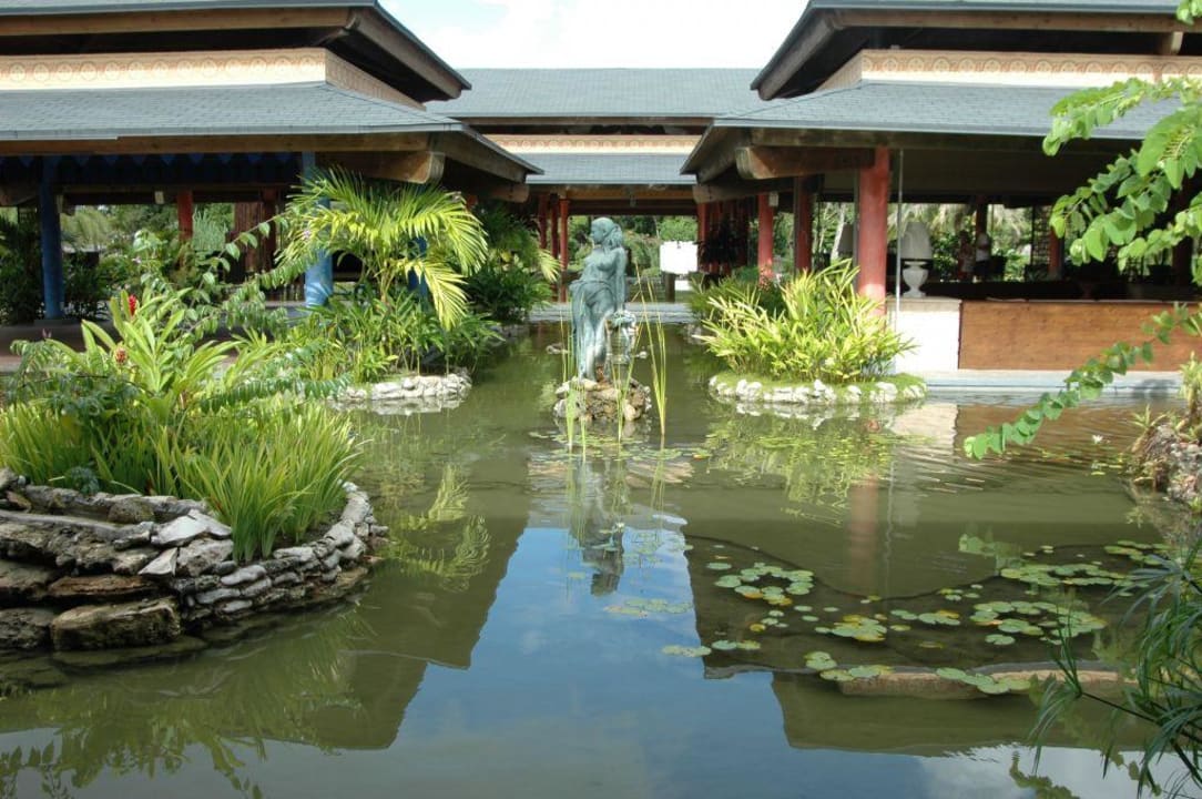 Gartenanlage Hotel Playa Pesquero