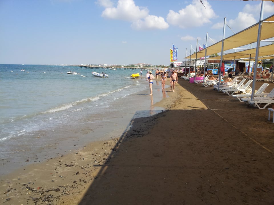 10 meter weiter gut Sidemarin Kirman Premium