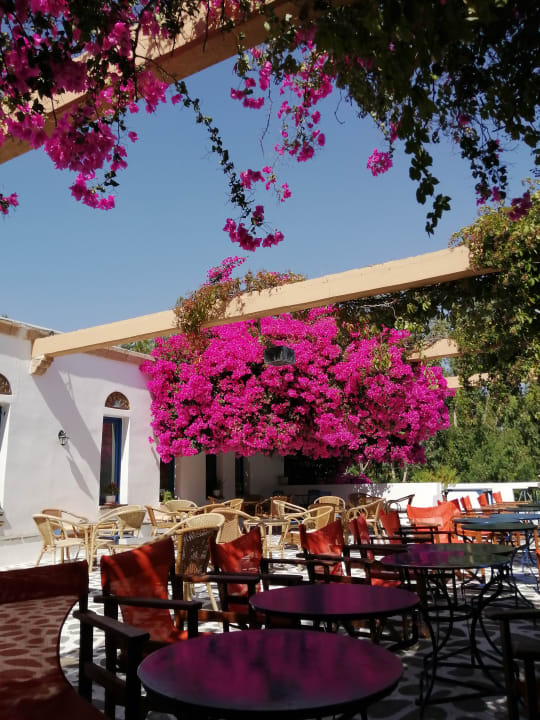 Sonstiges Ekaterini Hotel
