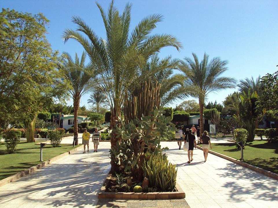 Gartenanlage Ghazala Beach