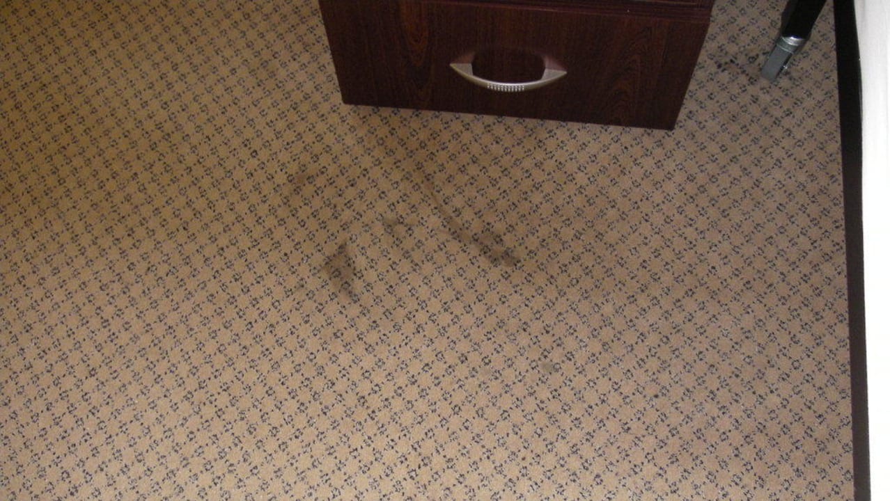 Flecken auf dem Teppichboden Hotel Arena