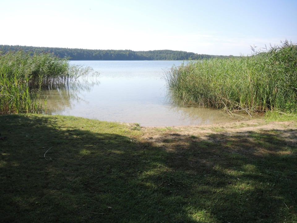 Eingangsbereich zum See Inselhotel Brückentinsee