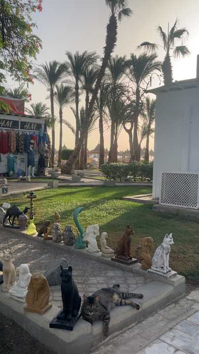 Gartenanlage The Grand Hotel Hurghada