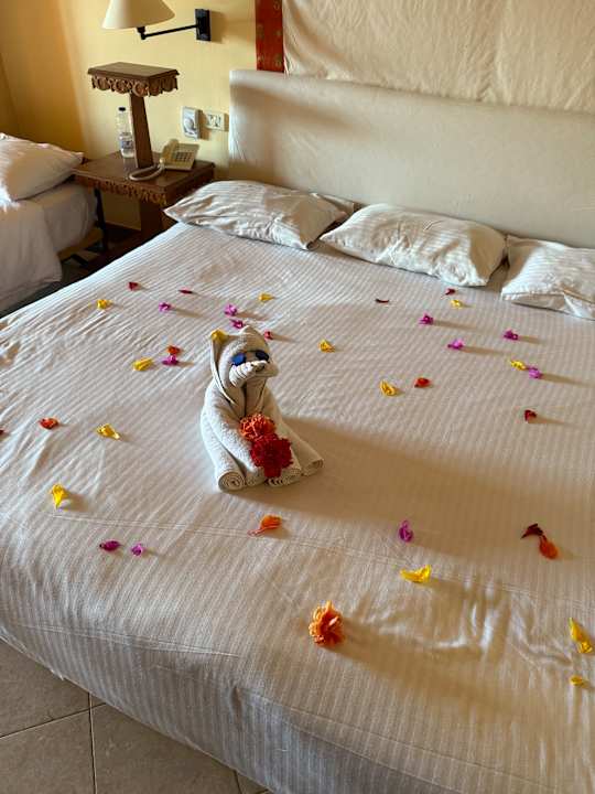 Zimmer The Grand Resort
