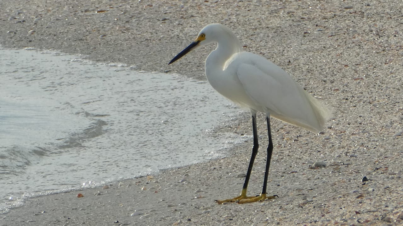 Strand Hotel The Beachcomber Beach Resort