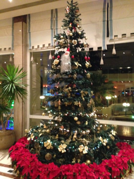 Decoration for Christmas  Marriott Hurghada Beach Resort