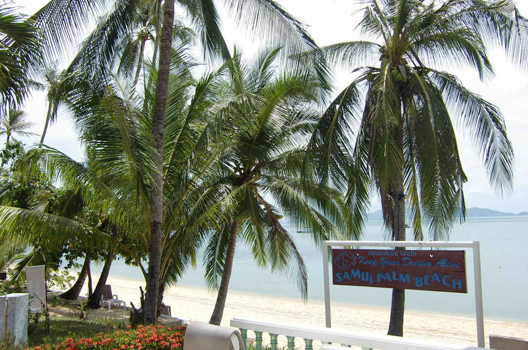 Blick auf Strand Hotel Samui Palm Beach Resort