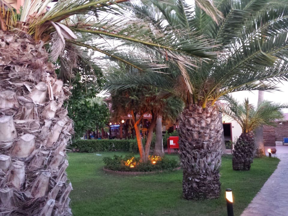 Traumhaft, oder? Miramare Queen Hotel