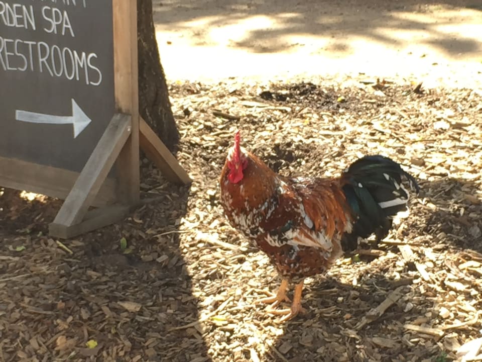 Sonstiges Hotel Babylonstoren