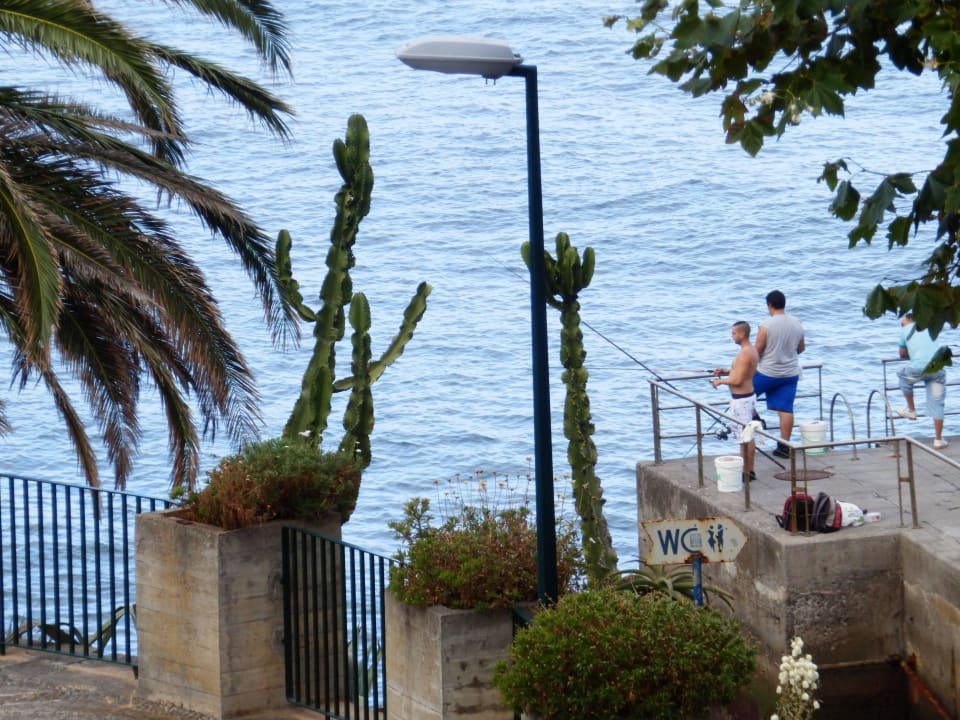Fischer - Ausblick vom Balkon Hotel Dom Pedro Madeira