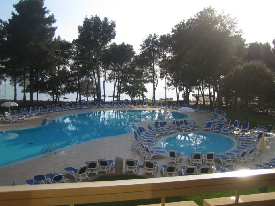 Pool Hotel Aurora Plava Laguna