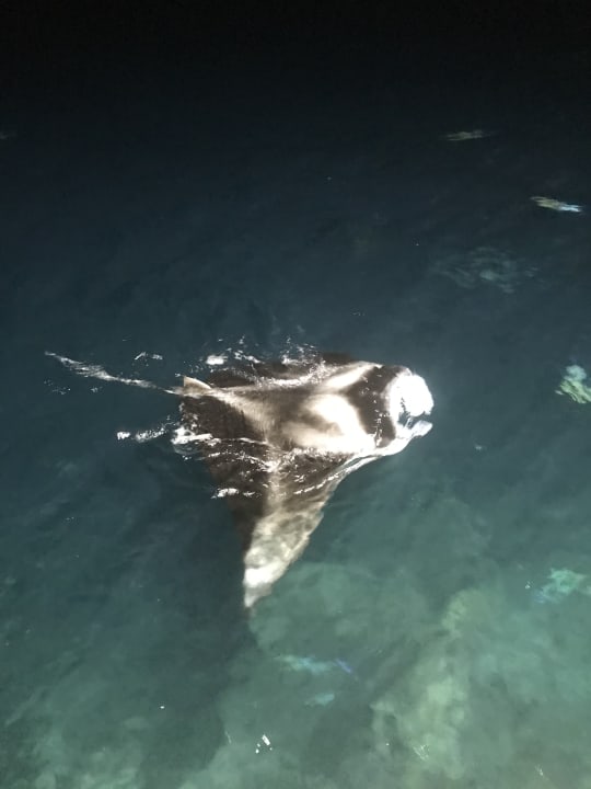 Sport & Freizeit Sun Siyam Olhuveli