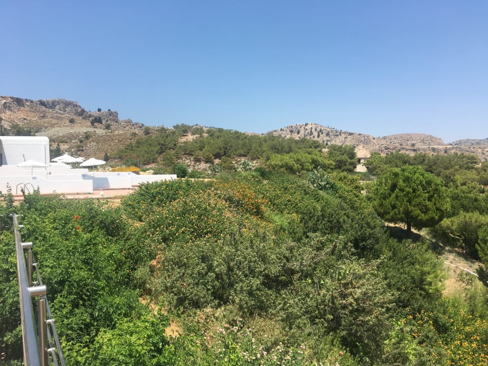 Ausblick alltoura Club Hotel Porto Angeli Beach Resort