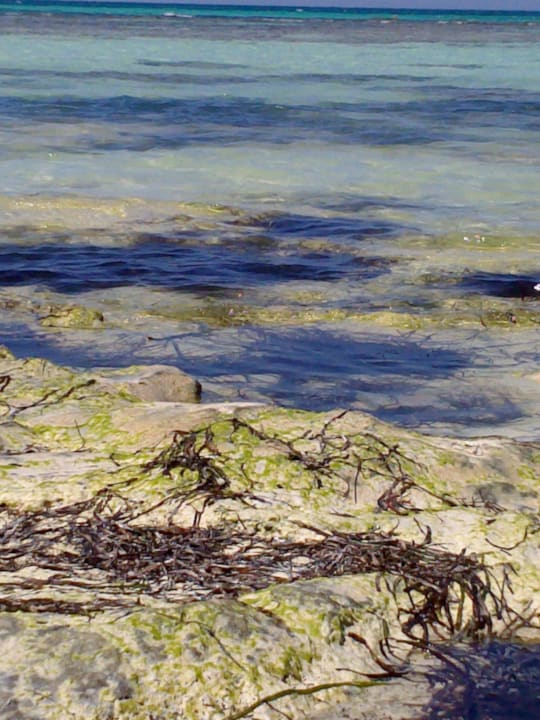 Strand bei Ebbe Calimera Yati Beach