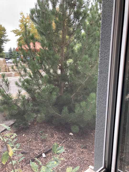 Ausblick Hotel & Spa Gut Matheshof BW Signature Collection by Best Western