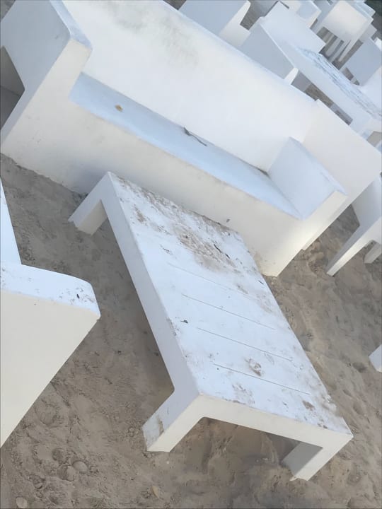 Gartenanlage Hotel Riu Republica - Adults only