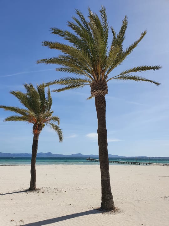Strand Alcudia Garden Aparthotel