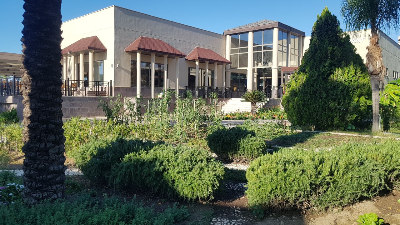 Gastro TUI BLUE Palm Garden