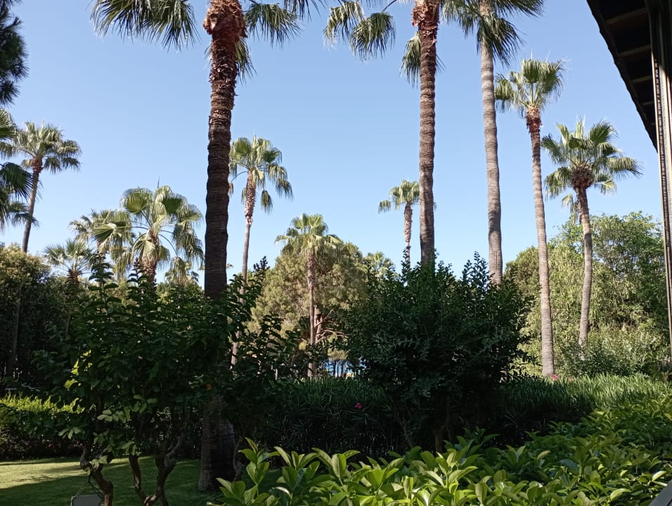 Gartenanlage Barut Hemera