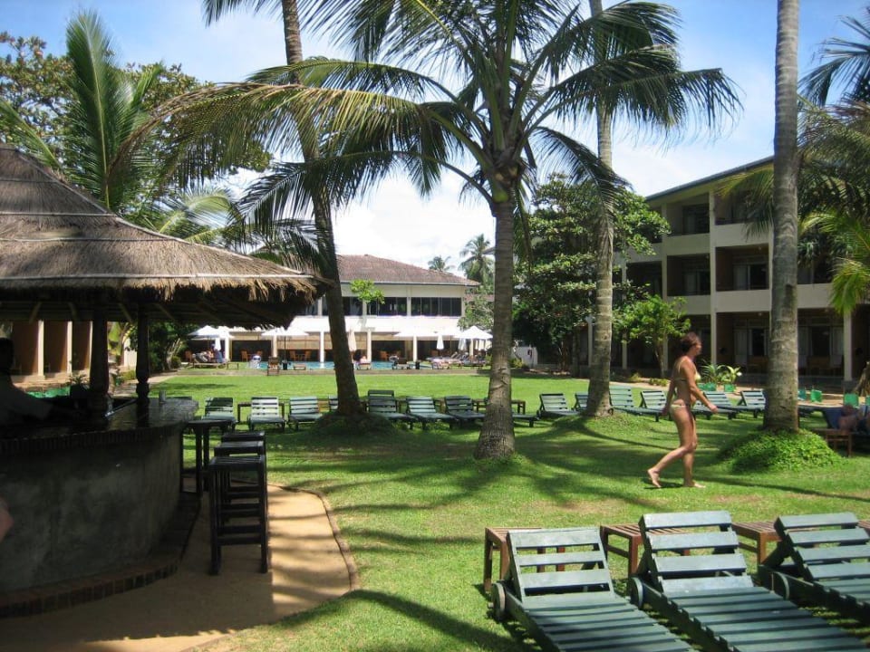 Hotel mit Strandbar! Mermaid Hotel & Club