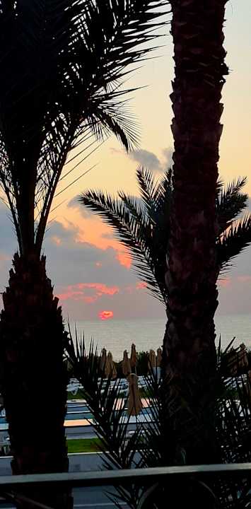 Ausblick Iberostar Waves Averroes