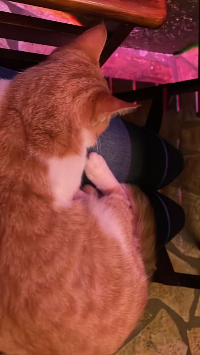 Sonstiges Hotel Albatros