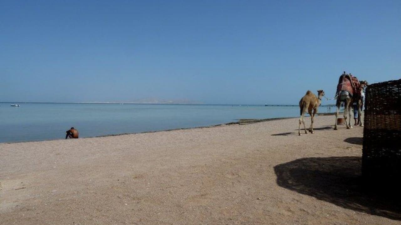 Strand bei Ebbe Jaz Mirabel Park & Club