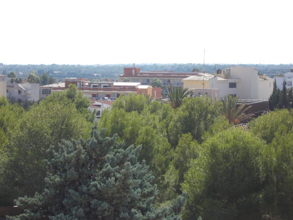 Meerblick Millor Sol