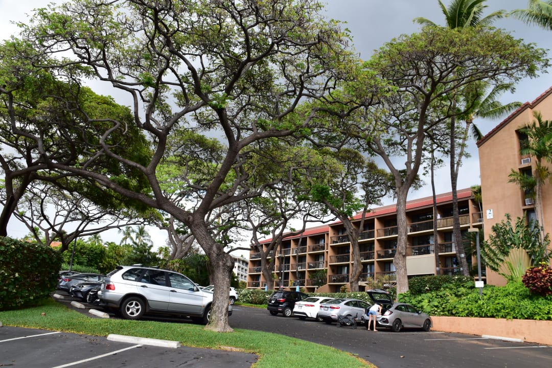 Außenansicht Maui Vista by Maui Condo & Home