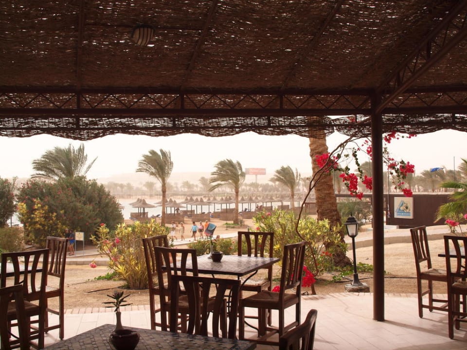 Strandbar Steigenberger Coraya Beach - Adults only