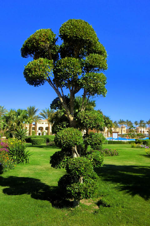 Tolle Gartenarbeit Cleopatra Luxury Resort Makadi Bay
