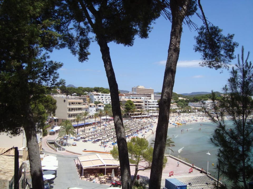 Der Strand von oben Hotel Aparthotel Paguera Beach