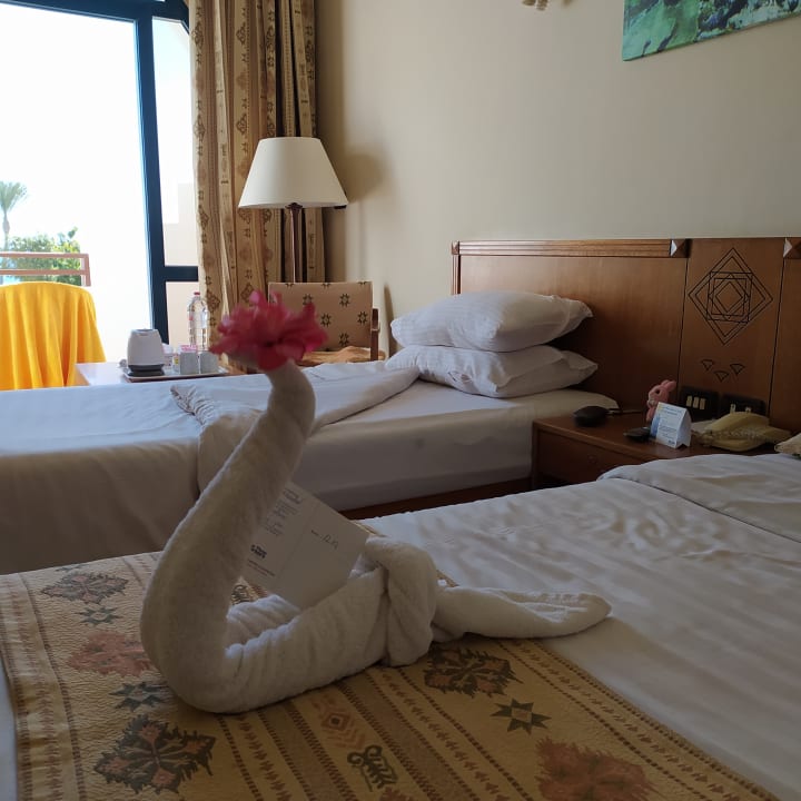 Zimmer Three Corners Equinox Beach Resort